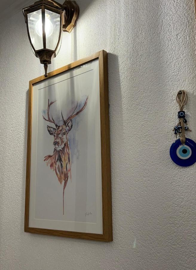 Guest House Tanevi 代温 外观 照片