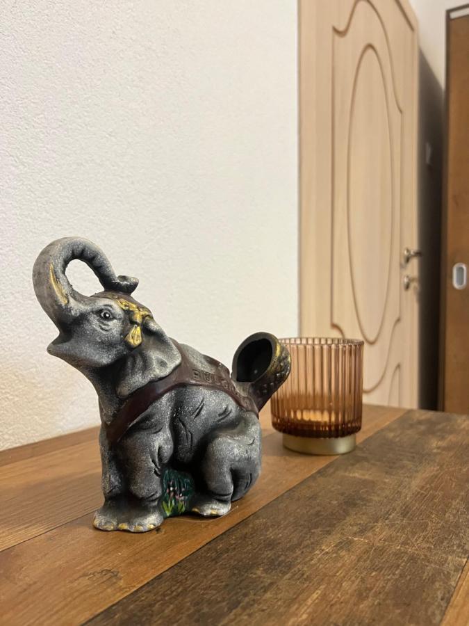 Guest House Tanevi 代温 外观 照片